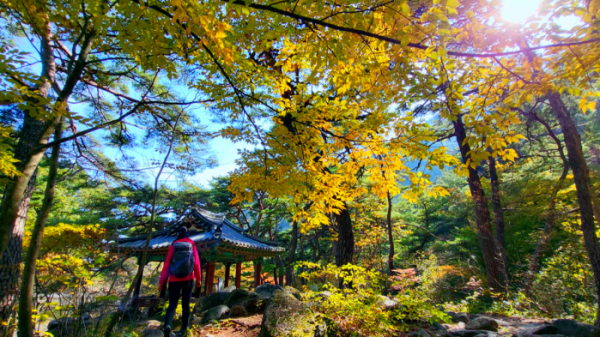 ▲'영상앨범 산' 가야산 국립공원(사진제공=KBS 2TV)