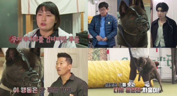 ▲‘개는 훌륭하다’(사진제공=KBS 2TV)