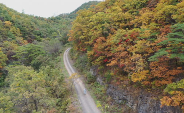 ▲'한국기행'(사진제공=EBS1)