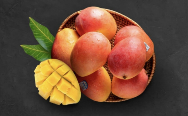 ▲'애플망고 배민쇼핑라이브' 캐시워크 돈버는퀴즈 정답 공개