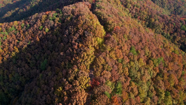 ▲'김영철의 동네 한 바퀴' 충남 청양(사진제공=KBS 1TV)