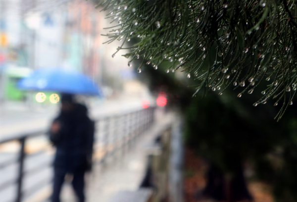▲겨울비에 우산을 쓰고 걸어가는 시민. (연합뉴스) (연합뉴스)