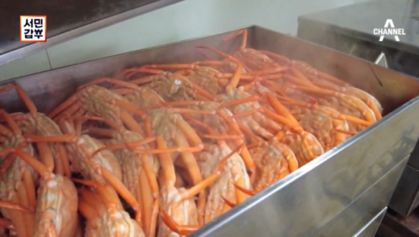 ▲'서민갑부' 포항 홍게 (사진제공=채널A)