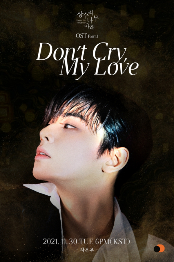 ▲차은우(사진 = 오렌지디멘션(orangeDmsn) 제공)