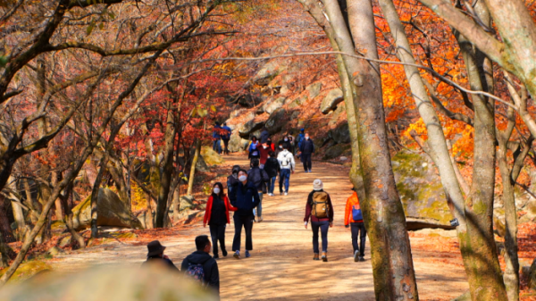 ▲'영상앨범 산' 주흘산(사진제공=KBS 2TV)