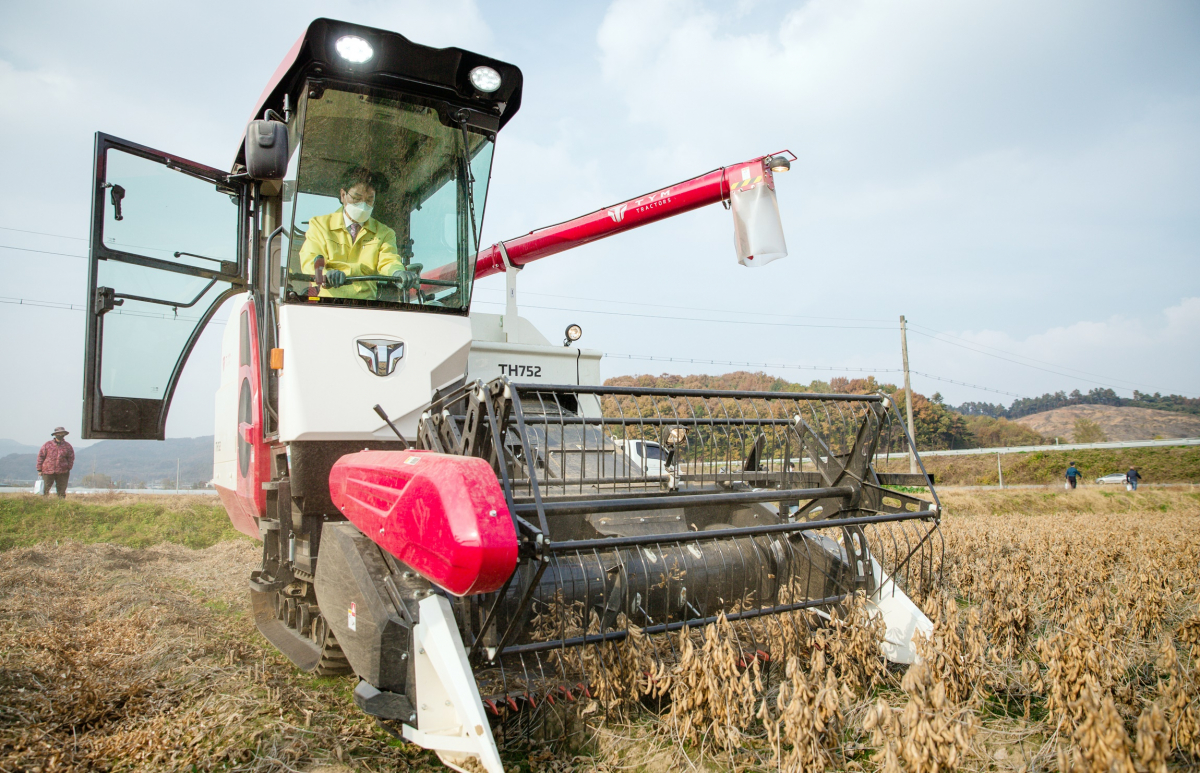 ▲충남 청양군 정산면 역촌리 칠갑산 콩 생산단지에서 콤바인을 이용해 콩을 수확하고 있다. (연합뉴스)