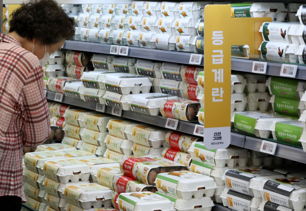 ▲서울시내 한 대형마트에서 시민들이 달걀을 고르고 있다. (뉴시스)