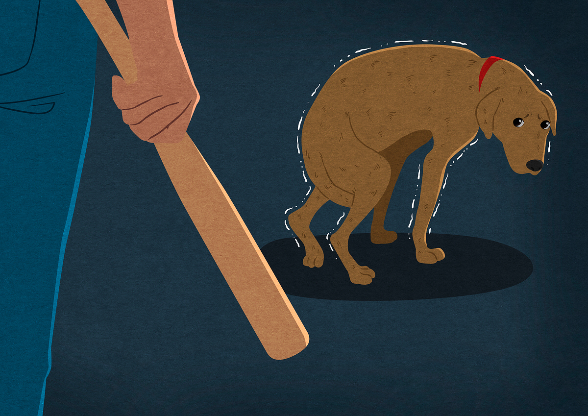 ▲
 (사진제공=이미지투데이)