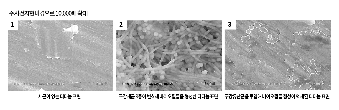 (사진제공=오라팜)