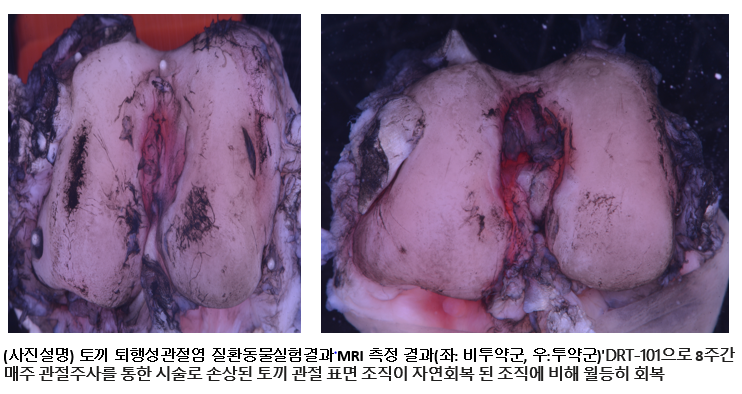 (사진제공=크리스탈지노믹스)