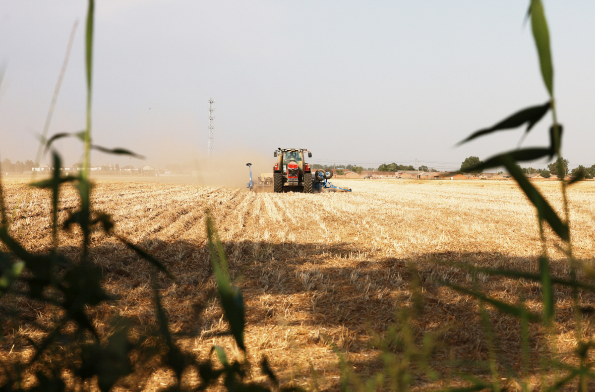 ▲중국 허난성의 한 국영시범농장인 황판추(Huangfanqu) 농장에서 6월 옥수수 씨 뿌리기가 한창이다. 황판추/신화뉴시스