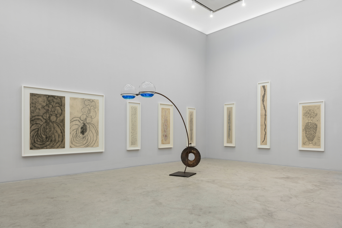 ▲'유칼립투스의 향기(The Smell of Eucalyptus)' 설치 전경. (사진제공=국제갤러리)