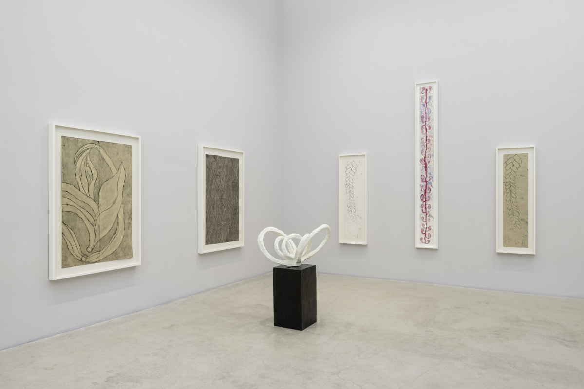 ▲'유칼립투스의 향기(The Smell of Eucalyptus)' 설치 전경. (사진제공=국제갤러리)