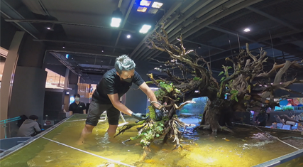 ▲‘서민갑부’ 아쿠아 가든(수족관 카페)(사진제공=채널A)