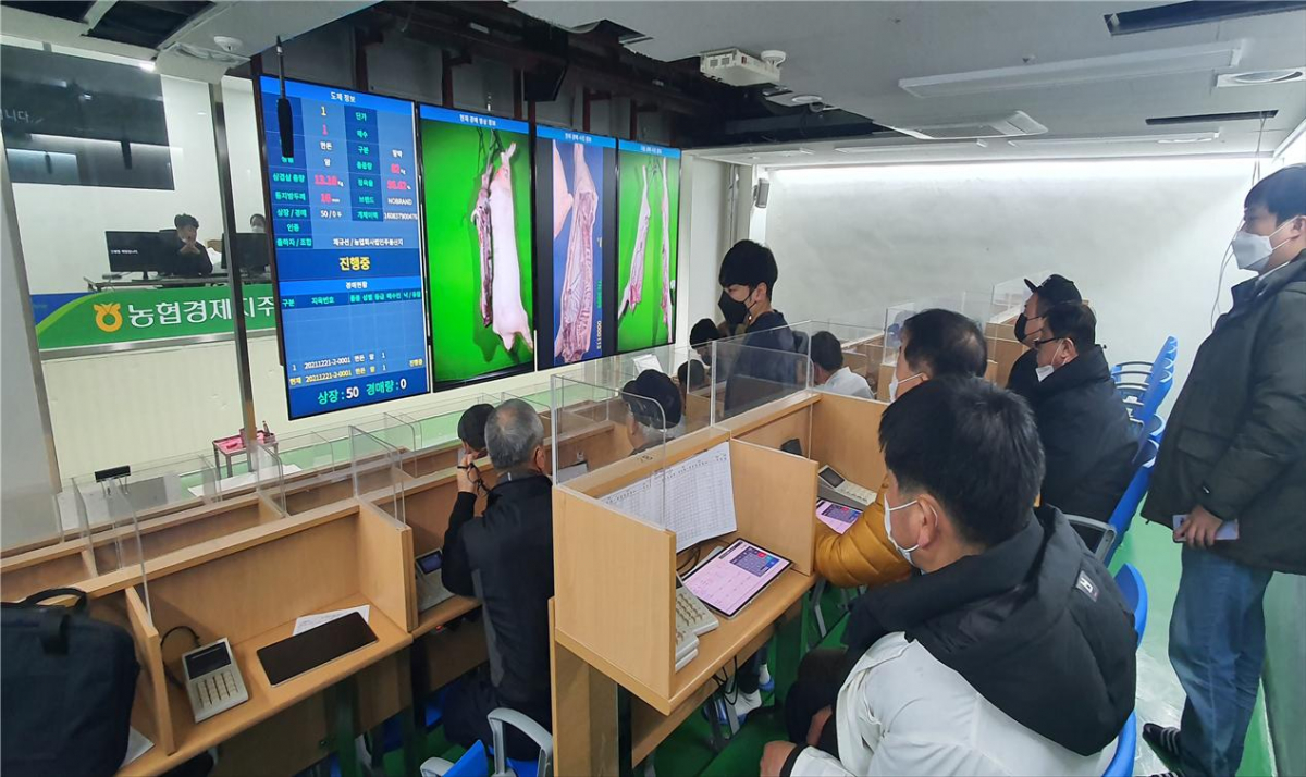 ▲돼지고기 온라인 경매 과정. (사진제공=농림축산식품부)