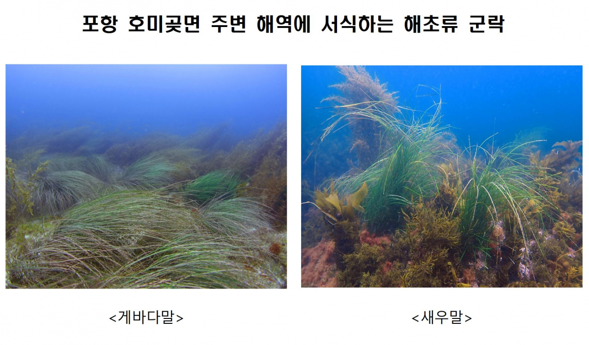 (사진제공=해양수산부)