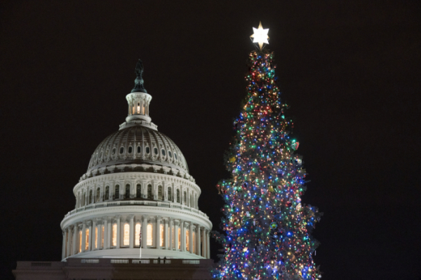 ▲1일(현지시간) 미국 워싱턴D.C 국회의사당 앞에 크리스마스 트리가 세워져 있다. 워싱턴D.C/AP뉴시스