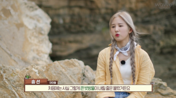 ▲트라이비 송선(사진 = ‘문명 - 최후의 섬’ 영상 캡처)