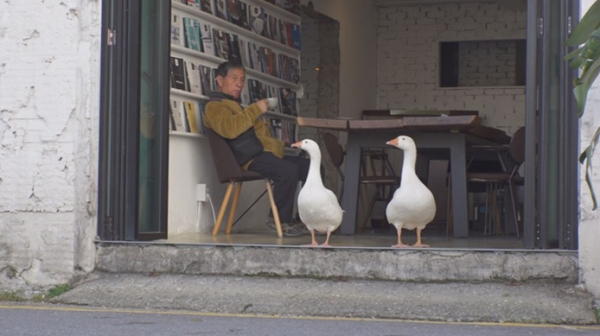 ▲'TV 동물농장'(사진제공=SBS)