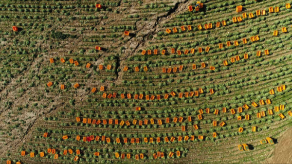 ▲'김영철의 동네한바퀴' 양구(사진제공=KBS 1TV)