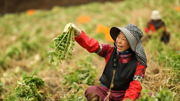 ▲'김영철의 동네한바퀴' 양구(사진제공=KBS 1TV)