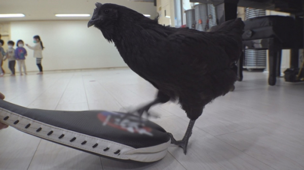 ▲'TV 동물농장'(사진제공=SBS)