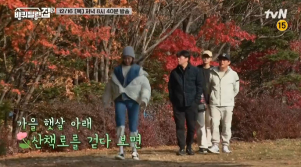 ▲'바퀴달린집' 촬영지 홍천 달둔 은행나무 숲(사진=tvN 방송화면 캡처)