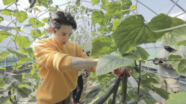 ▲'시고르경양식' (사진제공=JTBC)