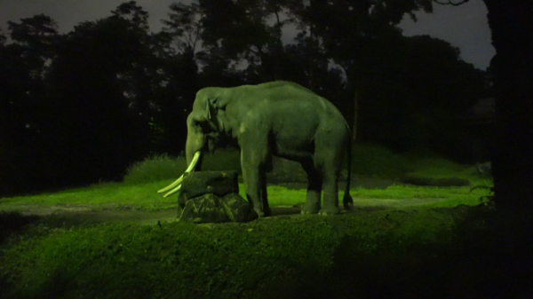 ▲'걸어서 세계속으로' 싱가포르(사진제공=KBS 1TV)