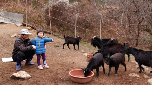 ▲'동행'(사진제공=KBS 1TV)