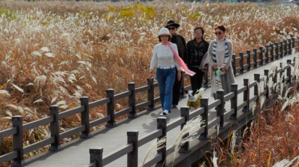 ▲'박원숙의 같이 삽시다'(사진제공=KBS 2TV)