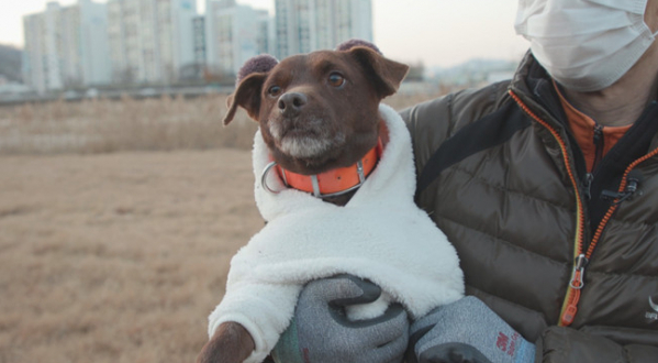 ▲'TV동물농장'(사진제공=SBS)