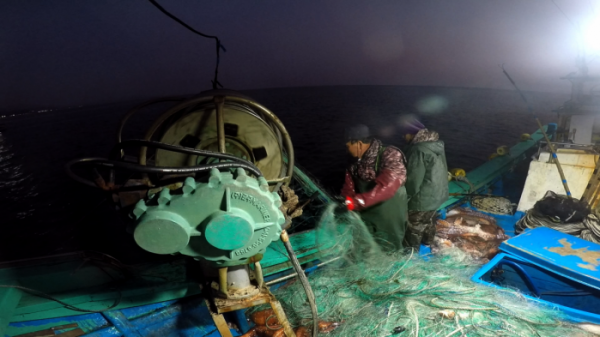 ▲'극한직업'(사진제공=EBS1)