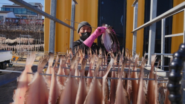 ▲'극한직업'(사진제공=EBS1)