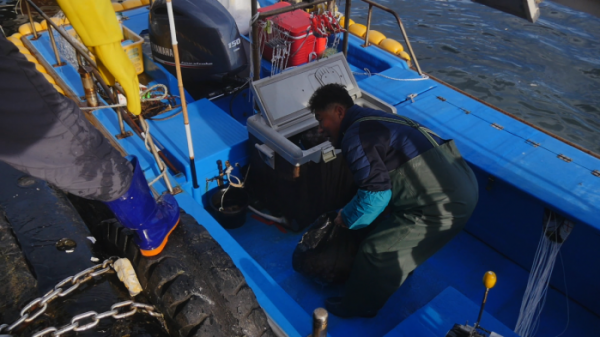 ▲'극한직업'(사진제공=EBS1)