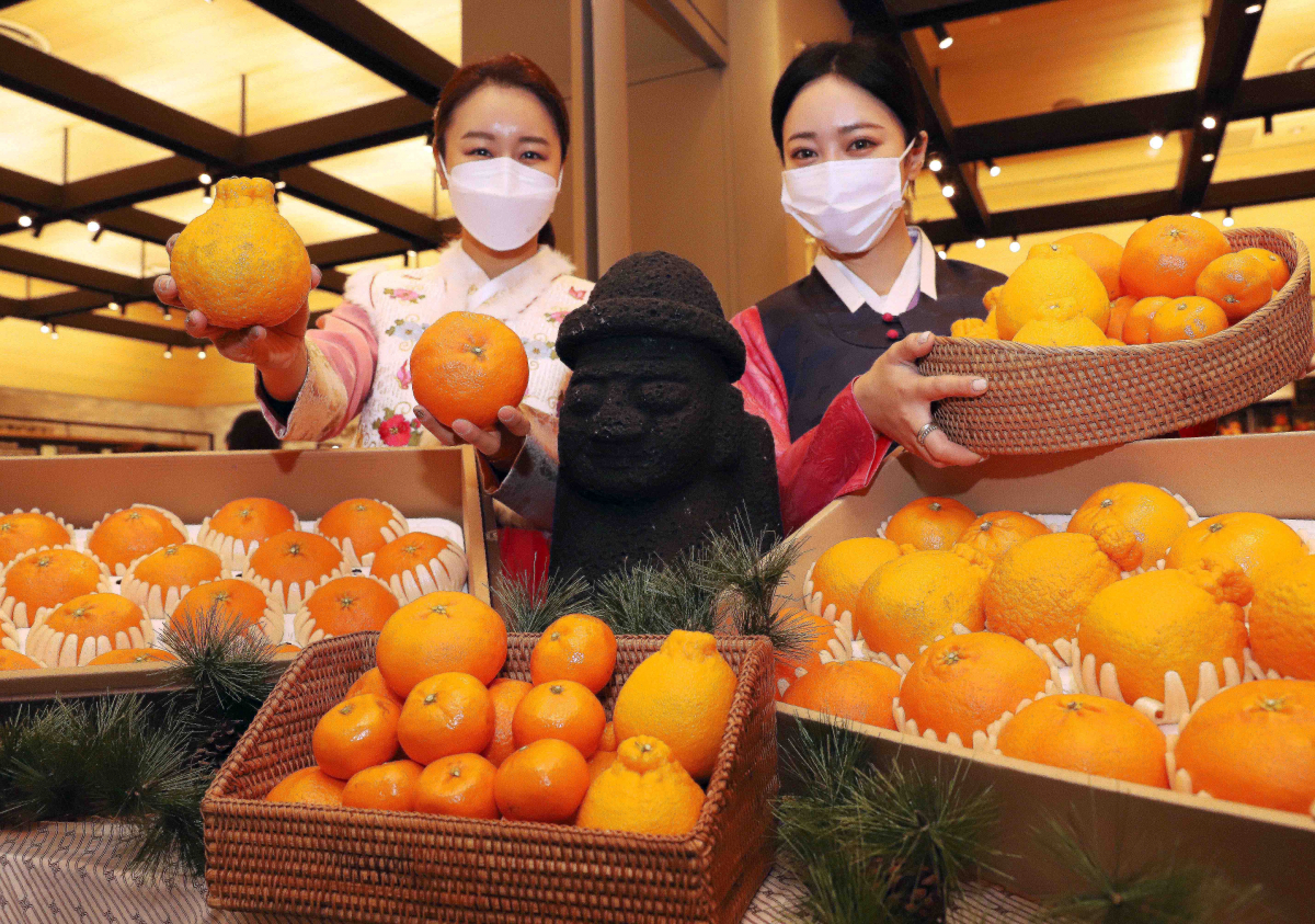 ▲신세계백화점은 2022년 설 명절을 맞이해 제철 청정 제주 과일로 구성한 선물 세트를 마련한다.  (사진제공=신세계백화점)