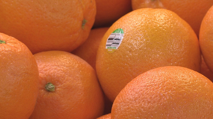 ▲오렌지. (연합뉴스)
