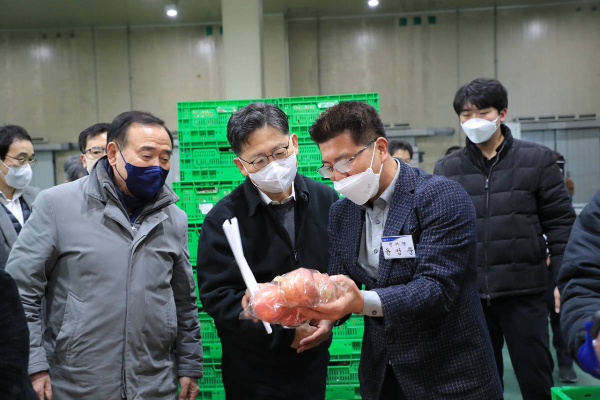 ▲김현수 농림축산식품부 장관(가운데)이 20일 경북 영주 농산물 유통센터를 찾아 설 성수품인 사과 수급 상황을 확인하고 있다.  (사진제공=농림축산식품부)