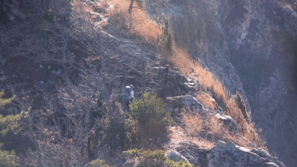 ▲'영상앨범 산'(사진제공=KBS 2TV)