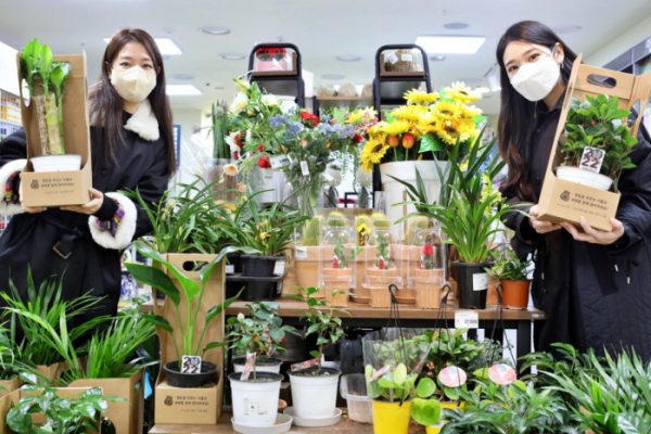 ▲4일 서울 중구 봉래동에 있는 롯데마트 서울역점에서 고객들이 꽃말 좋은 식물을 구경하고 있다.  (사진제공=롯데마트)