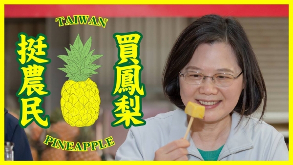 ▲파인애플 구매 촉진 운동 포스터에서 차이잉원 대만 총통이 파인애플을 보고 있다. 출처 차이잉원 트위터
