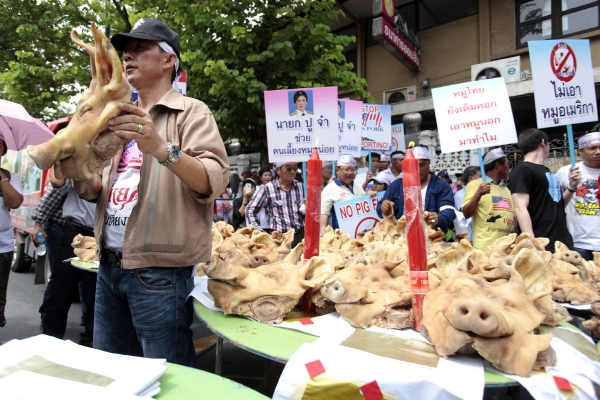 ▲태국 방콕에서 2013년 6월 11일 돼지 농장주들이 정부 항의 시위를 벌이고 있다. 방콕/신화뉴시스
