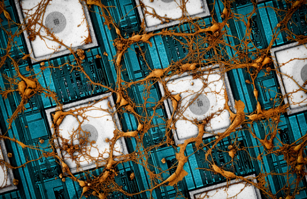 ▲지난해 9월 삼성전자와 미국 하버드대가 공동 연구를 통해 사람의 뇌 신경망을 칩에 재현하는 ‘뉴로모픽’ 방식의 미래 반도체 비전을 제시했다. 세계적인 학술지 ‘네이처일렉트로닉스’에 실린 뉴로모픽 논문의 이미지 (사진제공=삼성전자)