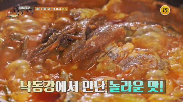 ▲이선빈 식객 허영만의 백반기행 상주 (사진제공 = TV CHOSUN)