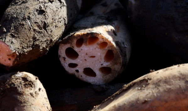 ▲'극한직업'(사진제공=EBS1)