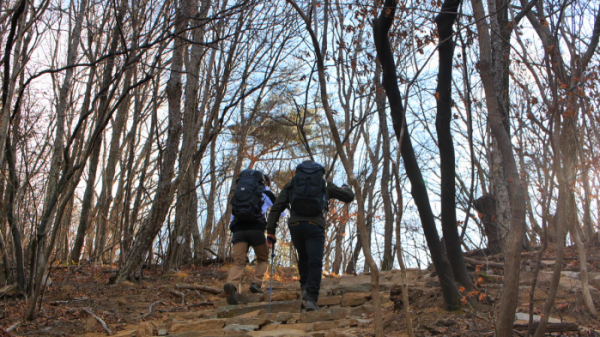 ▲'영상앨범 산'(사진제공=KBS 2TV)