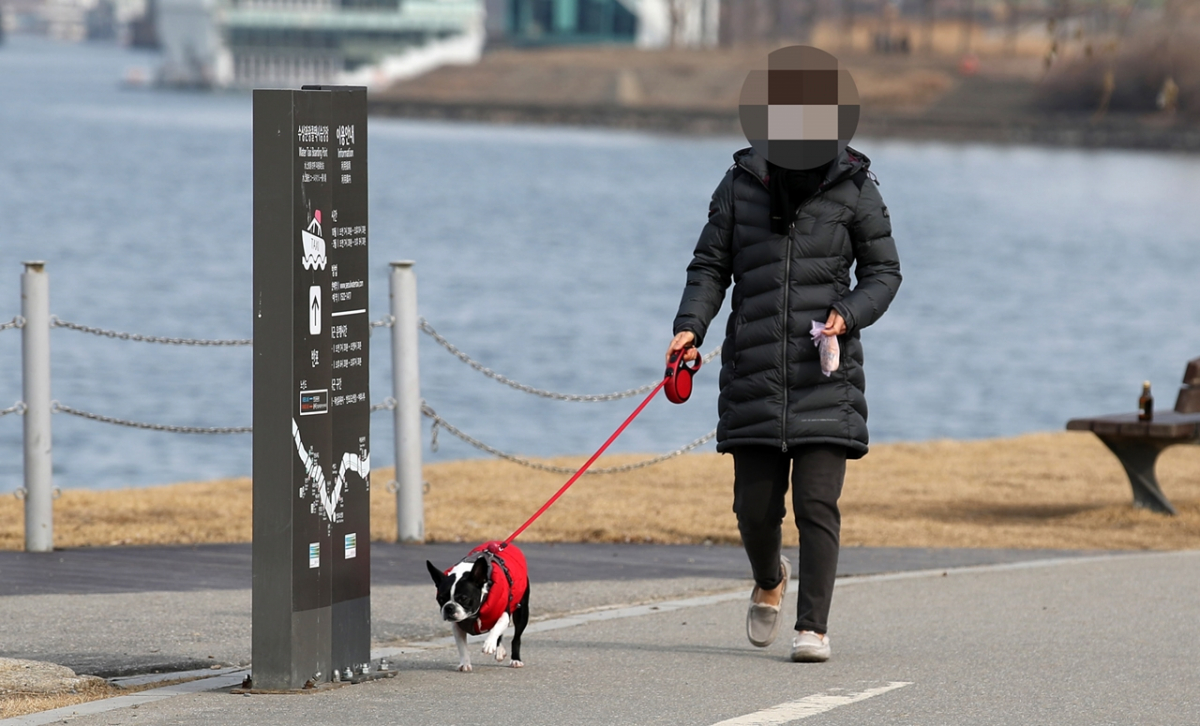▲서울 반포한강공원에서 한 시민이 반려견을 산책시키고 있다. (뉴시스)