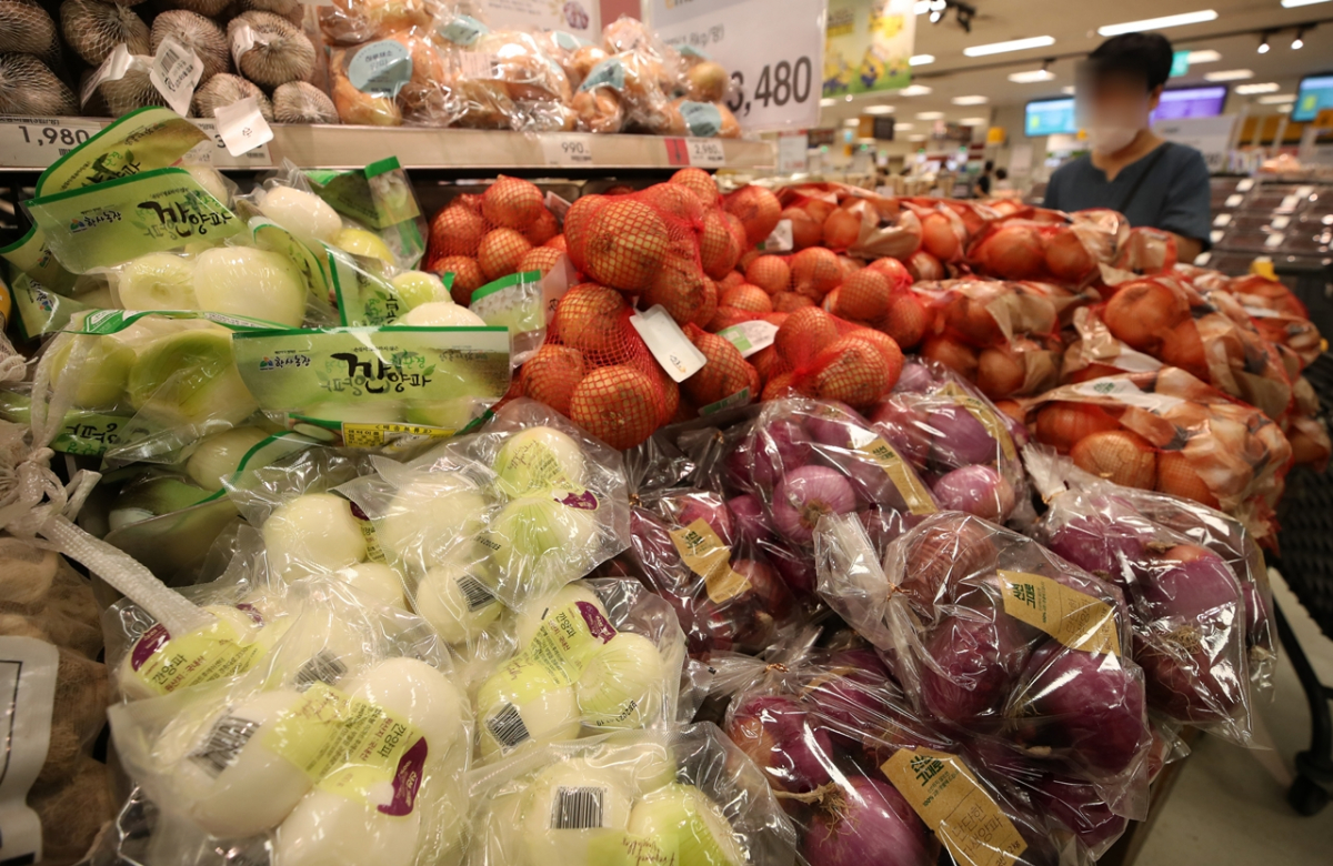 ▲서울의 한 대형마트에서 재포장된 양파가 판매되고 있다.  (뉴시스)