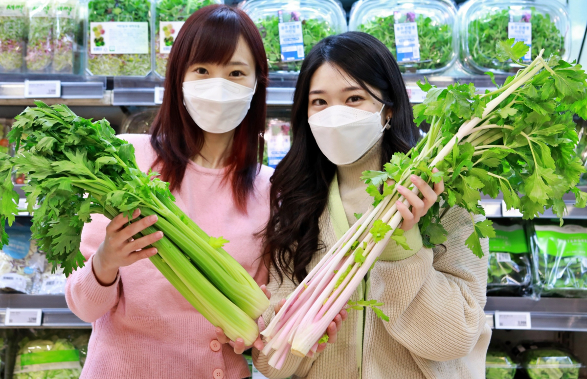 ▲17일 서울 중구 봉래동에 있는 롯데마트 서울역점에서 모델들이 핑크 샐러리와 샐러리를 홍보하고 있다.  (사진제공=롯데마트)