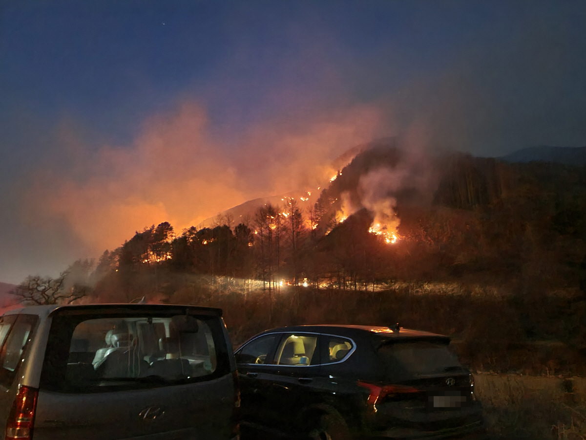 ▲24일 오후 강원 평창군 방림면 계촌리에서 발생한 산불이 밤까지 이어지고 있다. (연합뉴스)